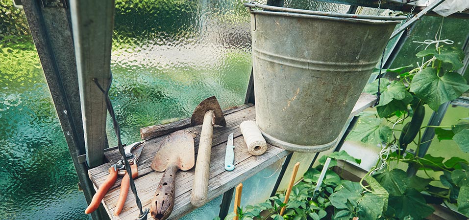 Prepping your tools for the gardening season