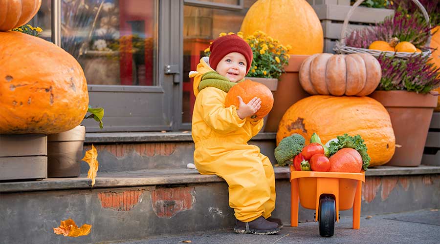 5-Creative-Ways-To-Utilize-Your-Pumpkins-This-Halloween