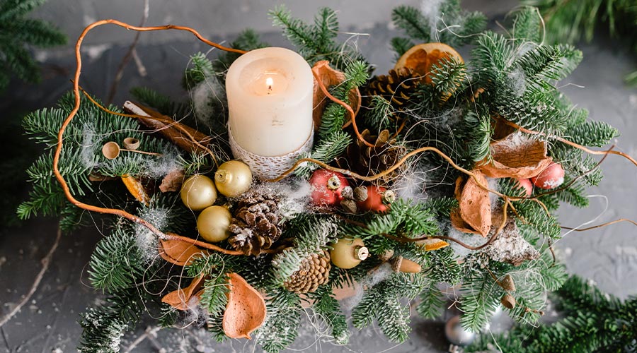 5 Plants to Look for When Foraging for Holiday Decorations